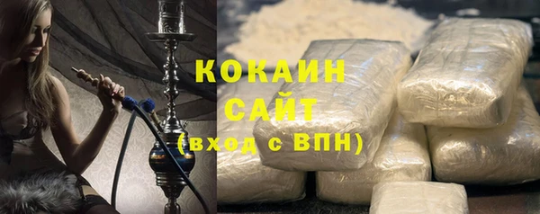 PSILOCYBIN Михайлов