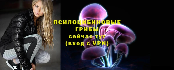гидропоника Дмитриев