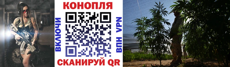 купить   Плёс  МАРИХУАНА Amnesia 